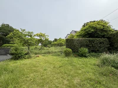 緑を愛でる暮らし