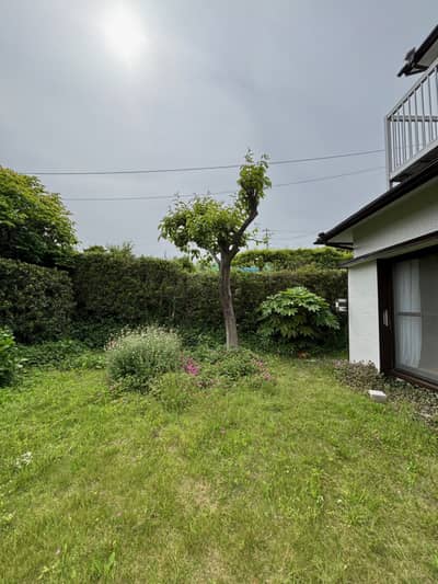 お庭。立派な生垣