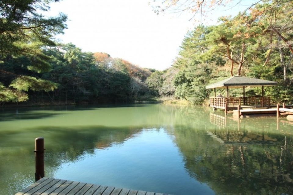 四ッ池公園。釣りやランニングなど楽しめる。