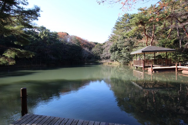 建物すぐ隣の四ツ池公園です