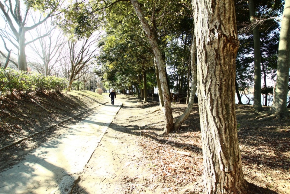 徒歩2分で佐鳴湖公園につく。