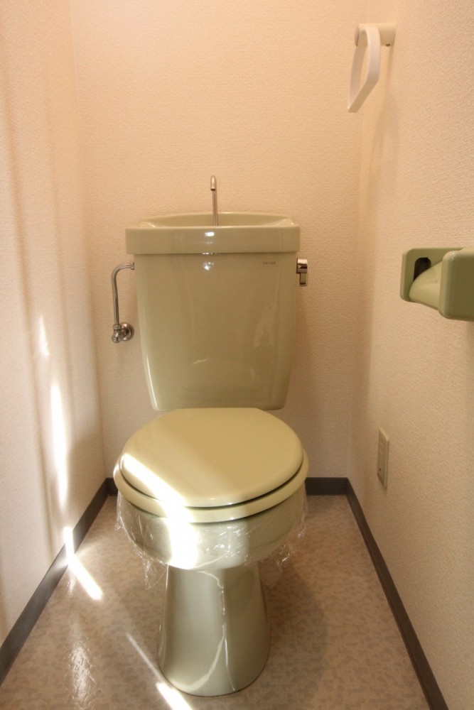 トイレは翡翠色。レトロな感じ