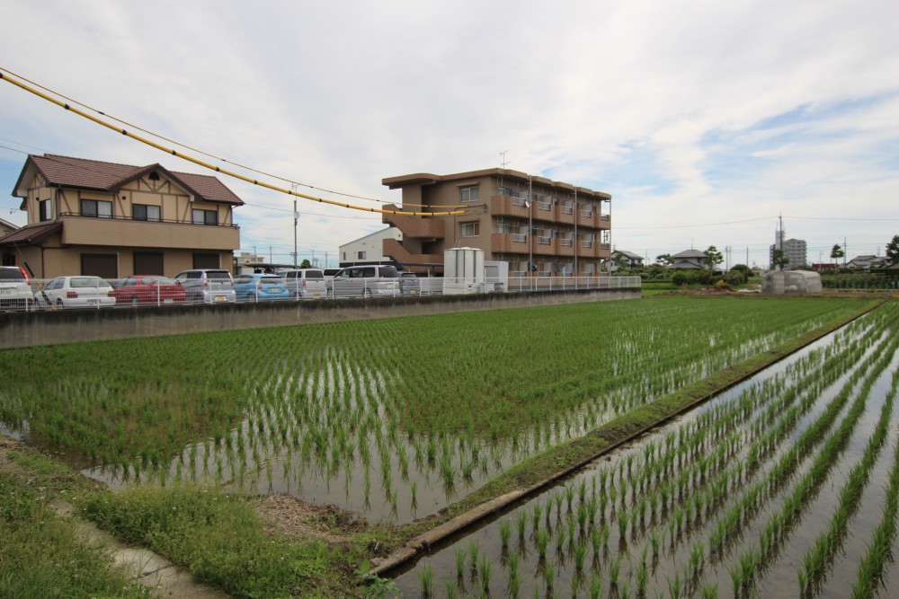 田んぼに囲まれた建物。