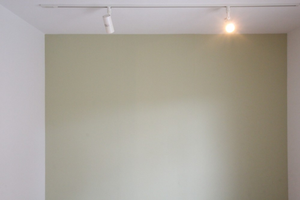 居室グリーン壁はスポット照明で照らされる。