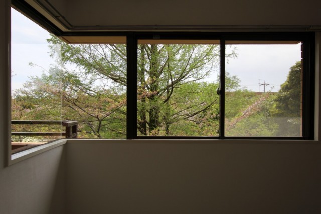 窓に写る木々、自然絵画が楽しめるお部屋。