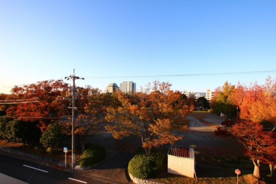 屋上からは目の前の公園を一望出来ていい眺めです