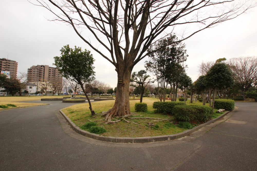 船越公園の様子。