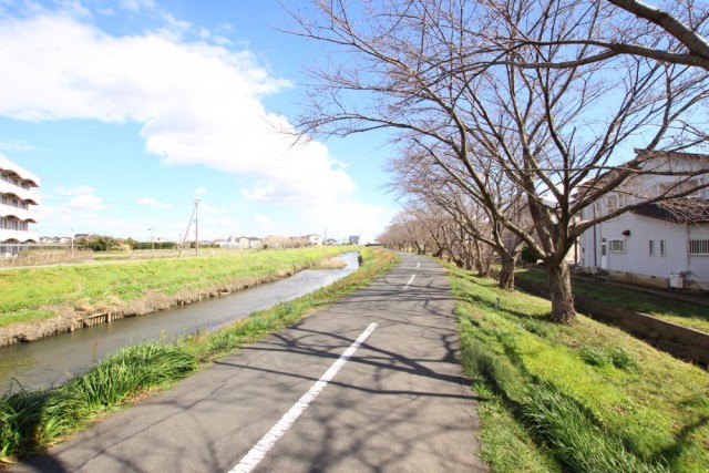 川沿いの歩道。春になったら桜がきれいに咲きますよ。