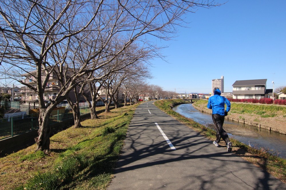 安間川沿いの歩道はランニングに最適。桜並木もGOOD！