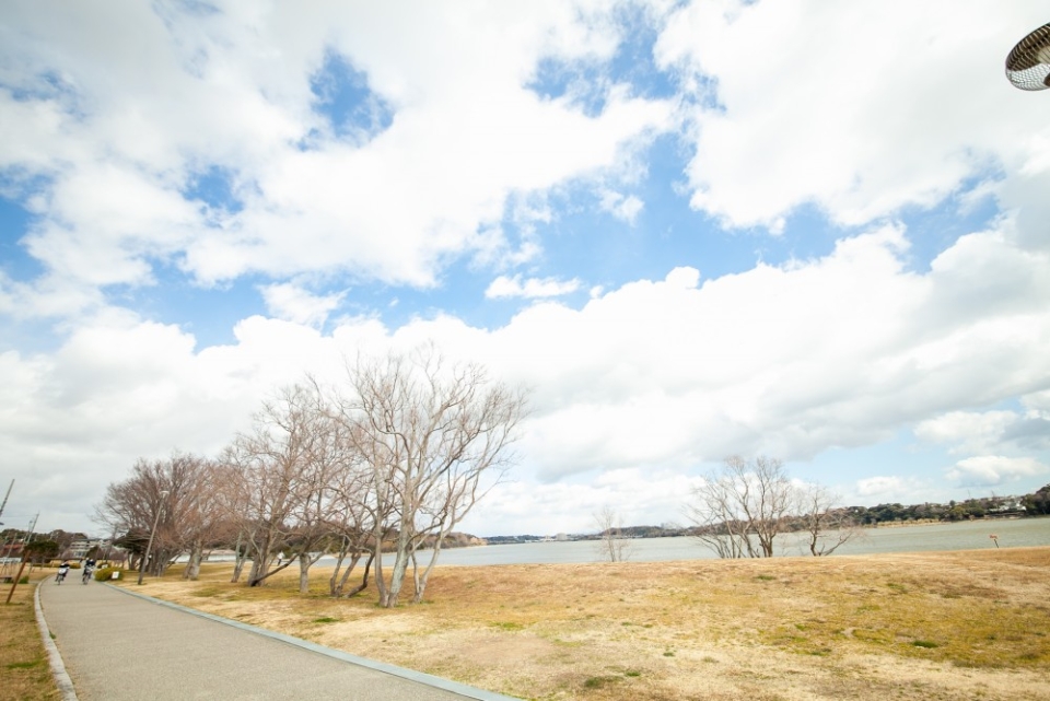 佐鳴湖まで徒歩１分。贅沢な環境です。