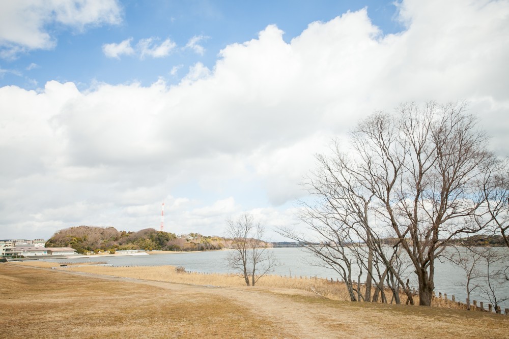 佐鳴湖公園へ到着。