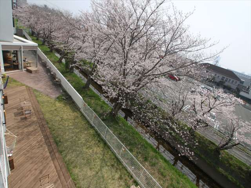 春には桜が楽しめるアウトドアテラスでBBQも楽しめる。
