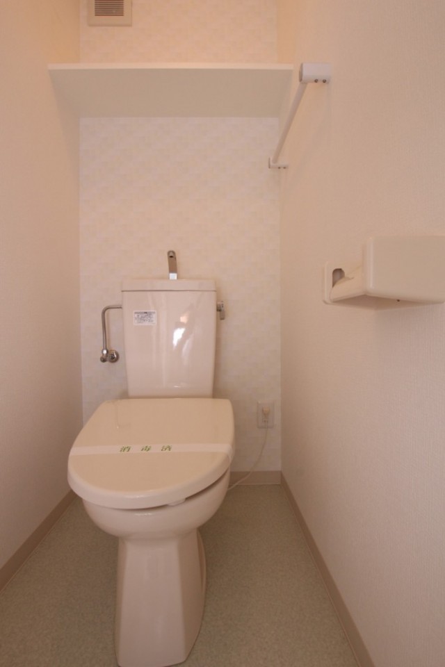 トイレは普通だが自身でシャワートイレの設置も可能。