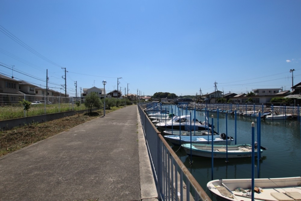 晴れた日の散歩道、水辺だから涼しそう。