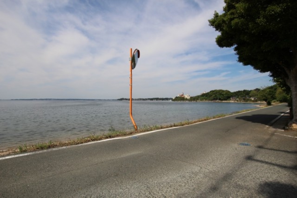 愛犬の散歩道はには絶好です。