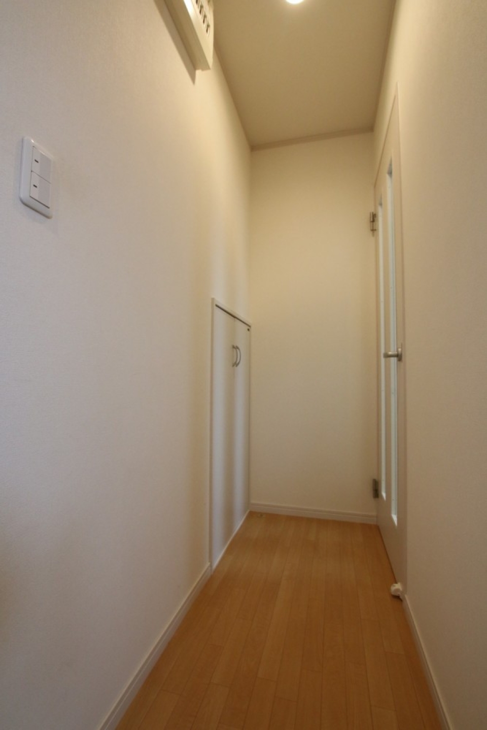 廊下。左の扉が収納スペース。右がLDKへの扉です。