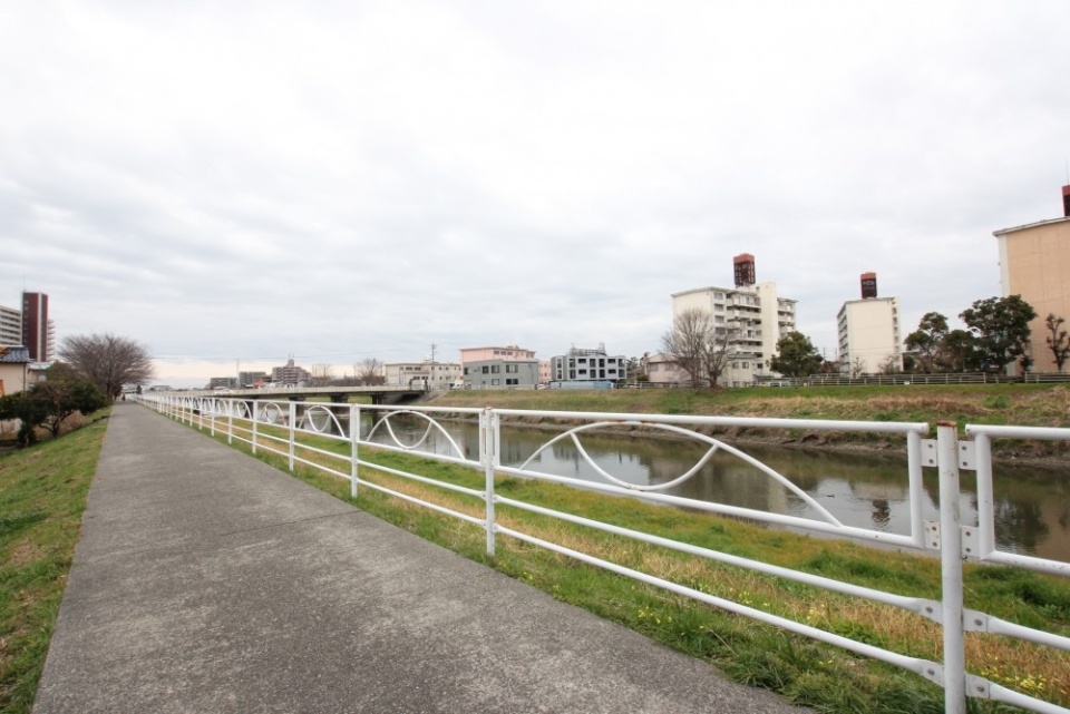 マンション目の前の土手。お散歩にぴったり