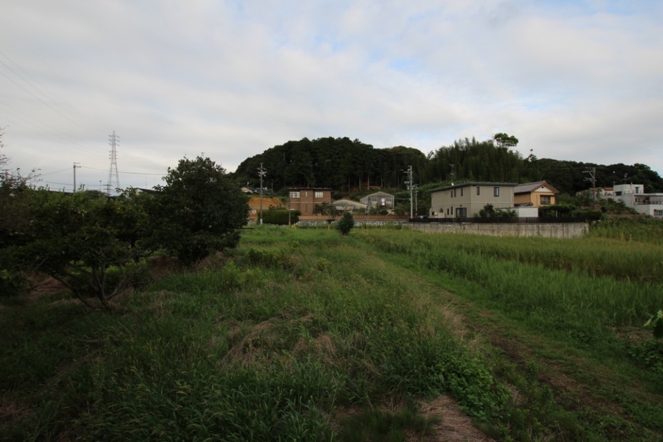 こんな長閑な風景に。