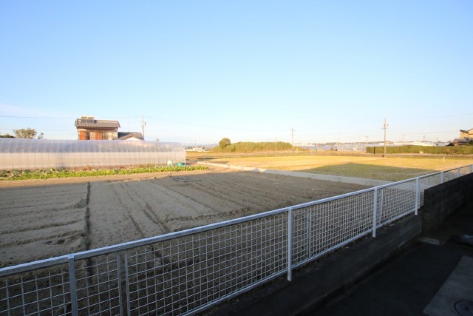 玄関前はこんな風景。ほっこり。