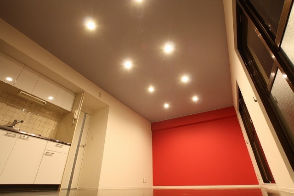 すっきりとした天井はダウンライトを使用。
