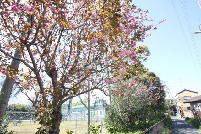 四季折々の風景を楽しんでくださいね。