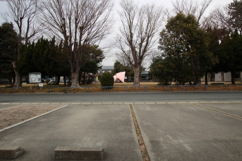 家の目の前には公園がある。