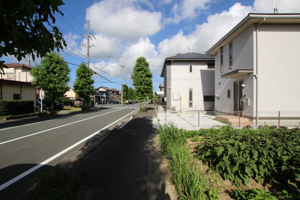 道路に面していますが、交通量は少なそう。