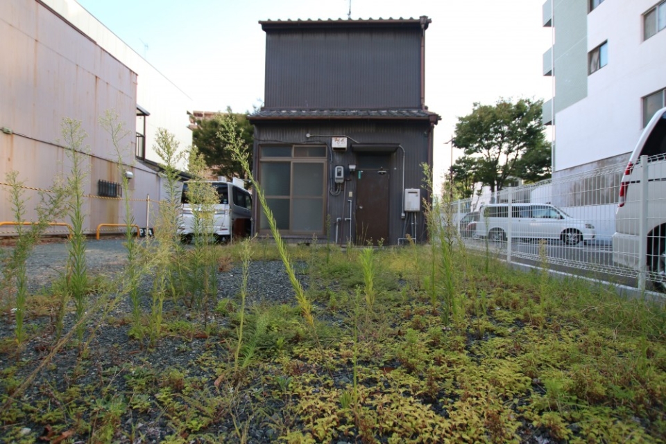 専用庭？駐車場として使えるのかな・・・