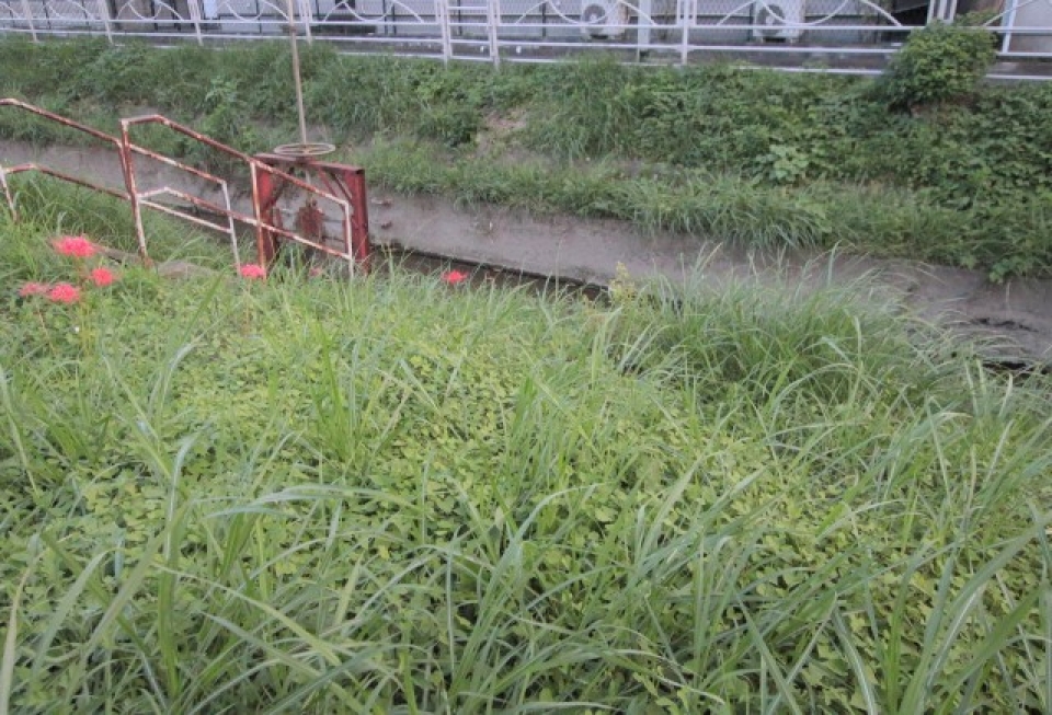 目の前には曳馬川が流れます。