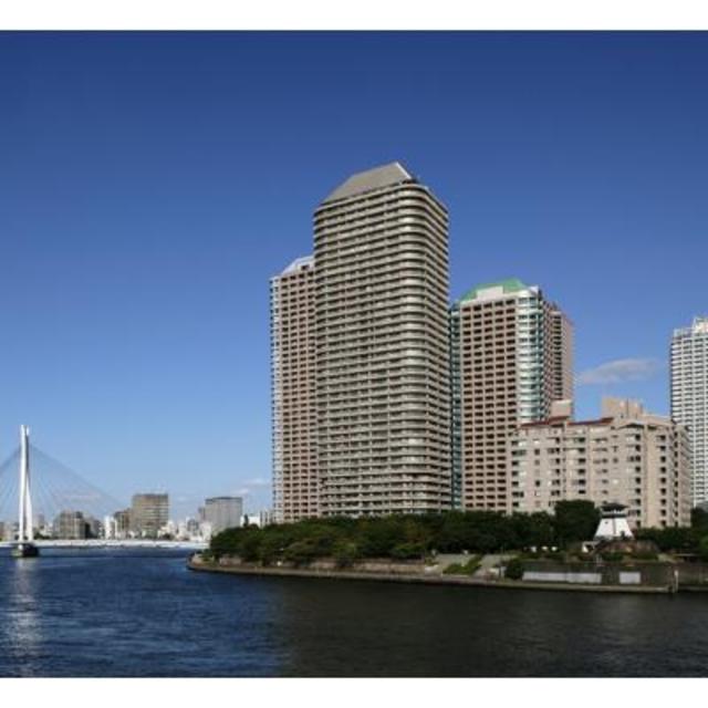 隅田川を望む景色