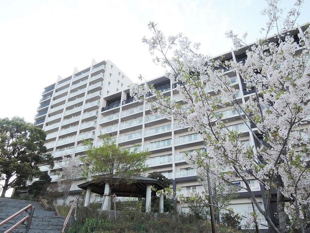 桜の木が咲く外観