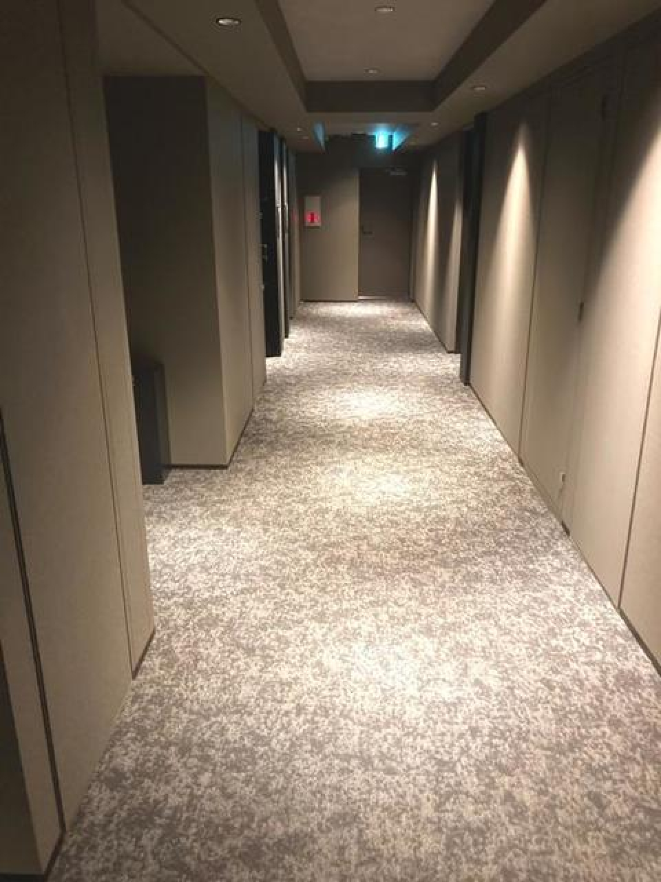ホテルのような廊下を抜ける
