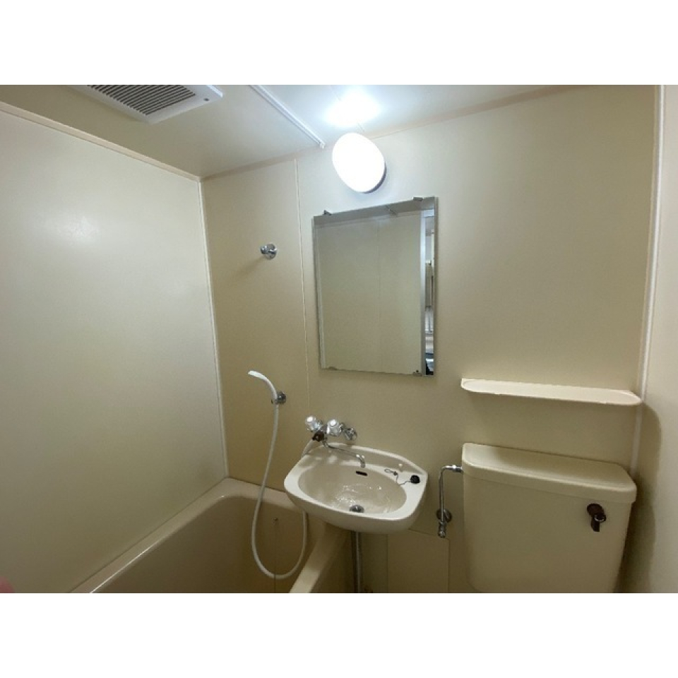 コンパクトな浴槽に洗面台とトイレが同じ部屋に設置されています。