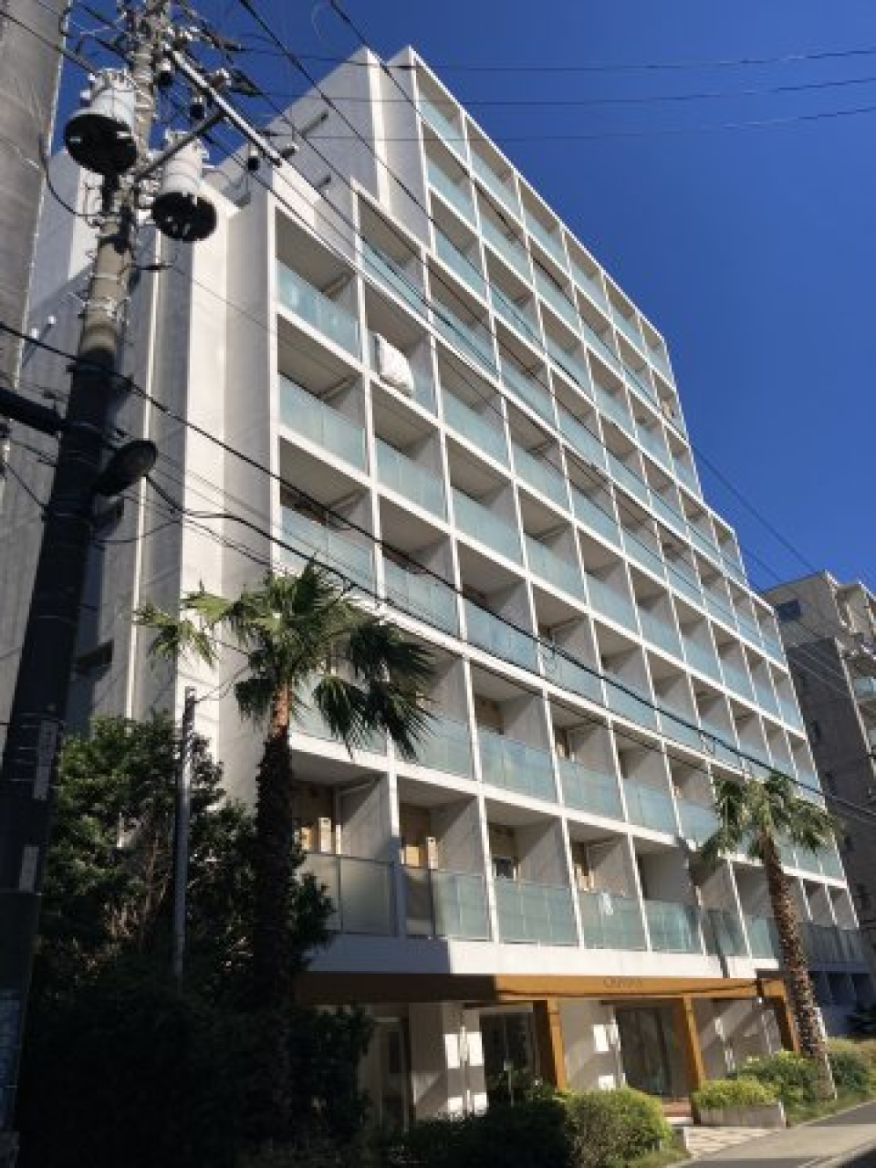 外観です。