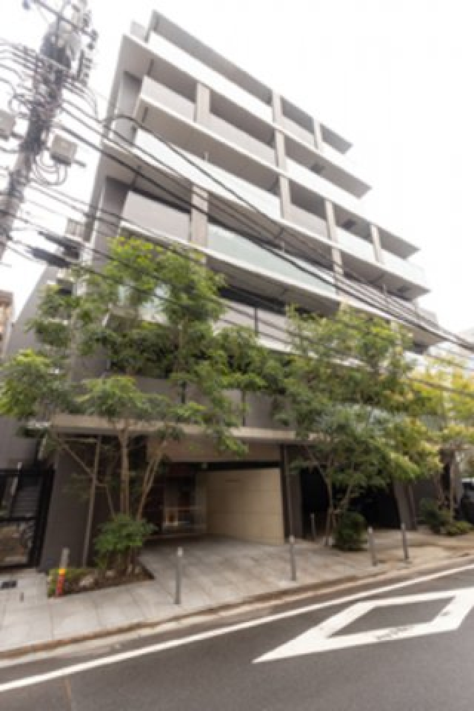 外観です。
