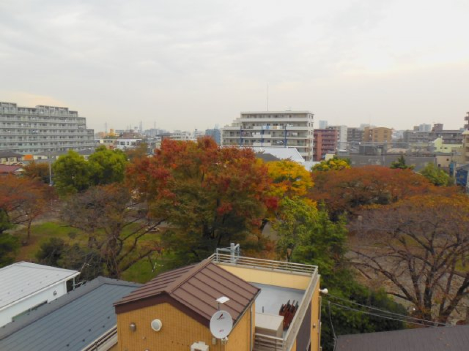 眺望