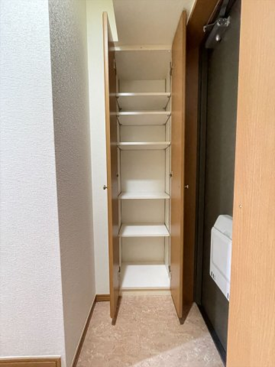 下足入れ