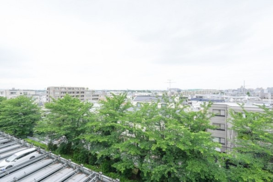 敷地を囲うソメイヨシノやシラカシが四季を感じさせます