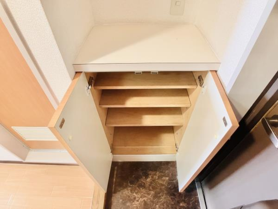 １人暮らしにはちょうどいい要領のシューズボックスです。