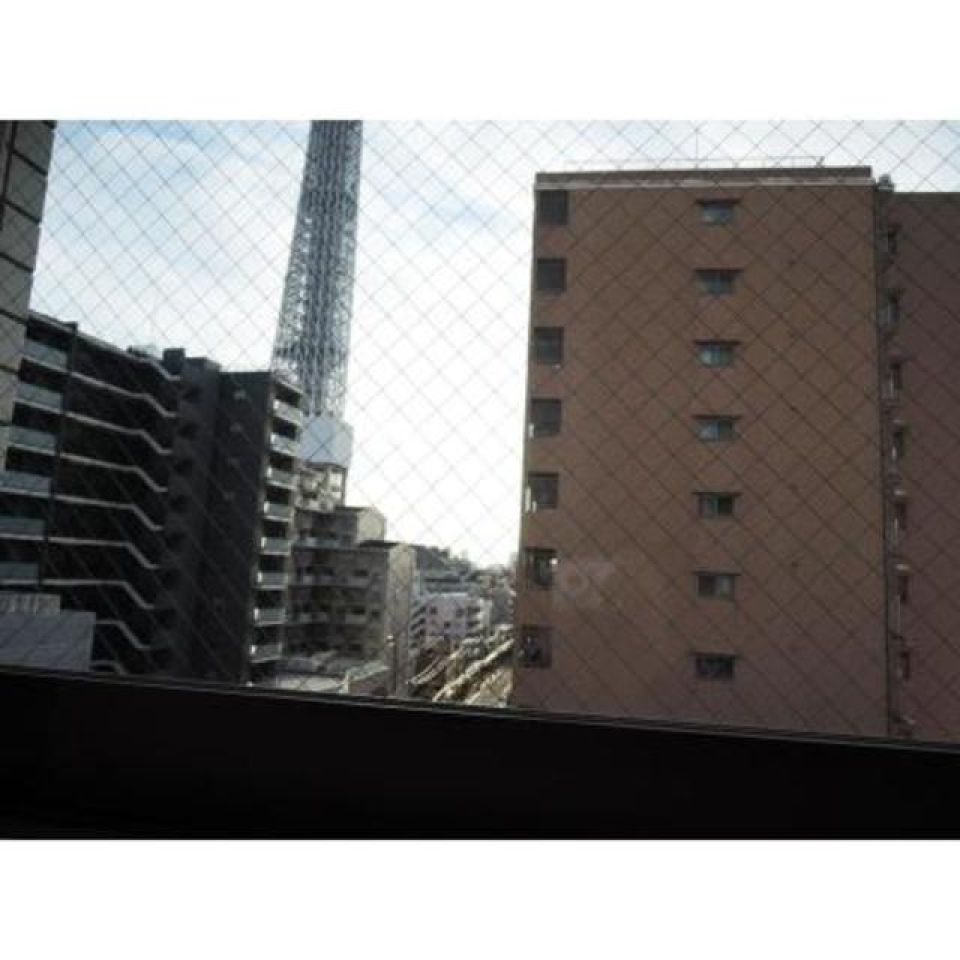 展望