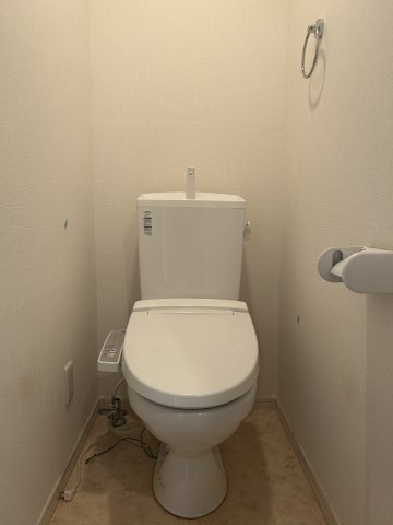 参考写真