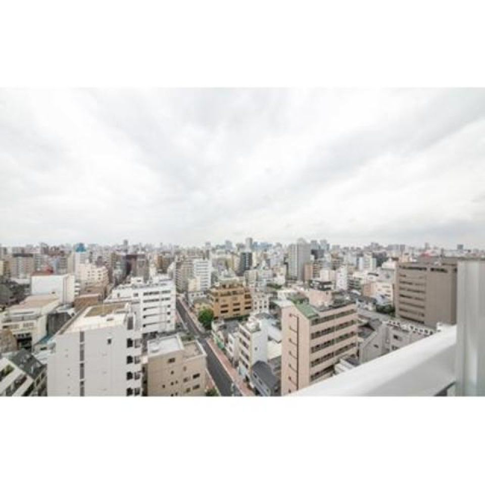 展望