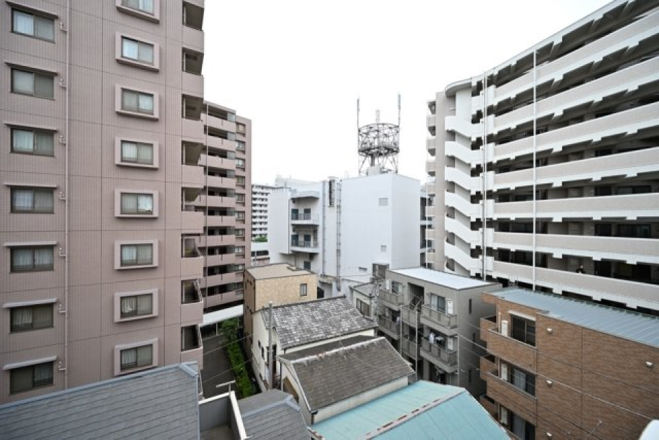 展望