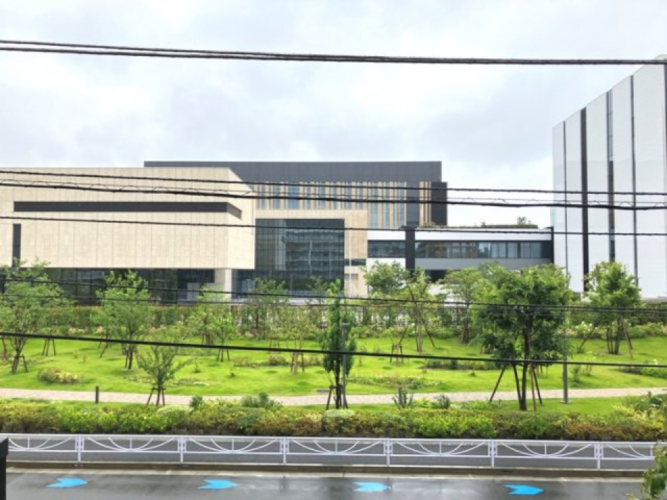 展望