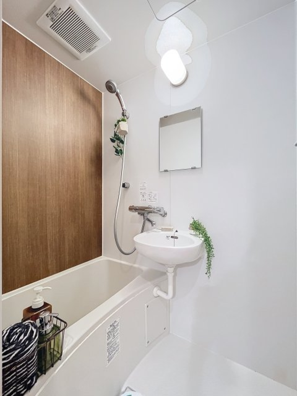 ※家具・小物はイメージです