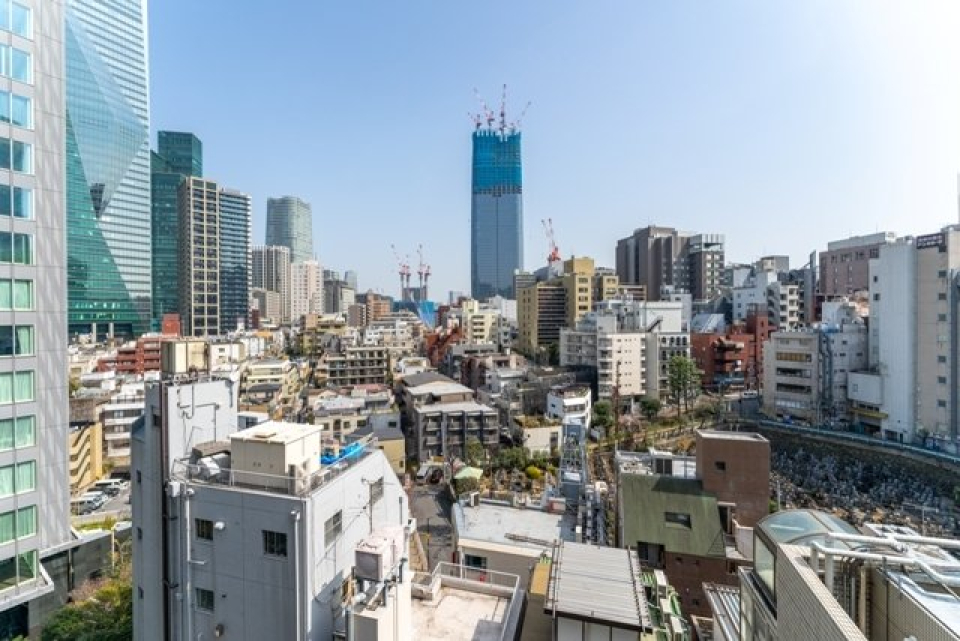 展望