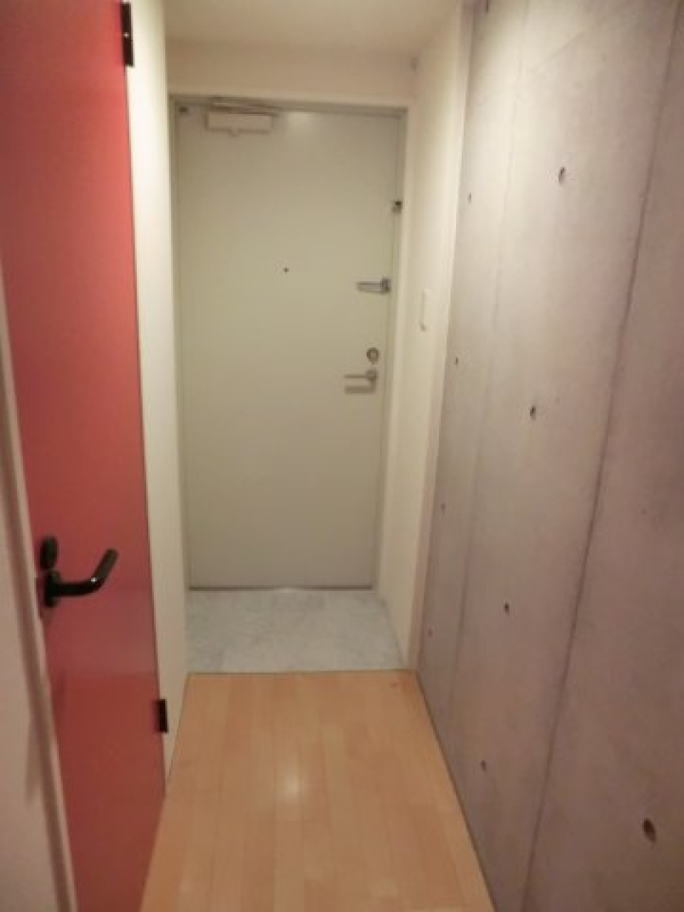 参考写真