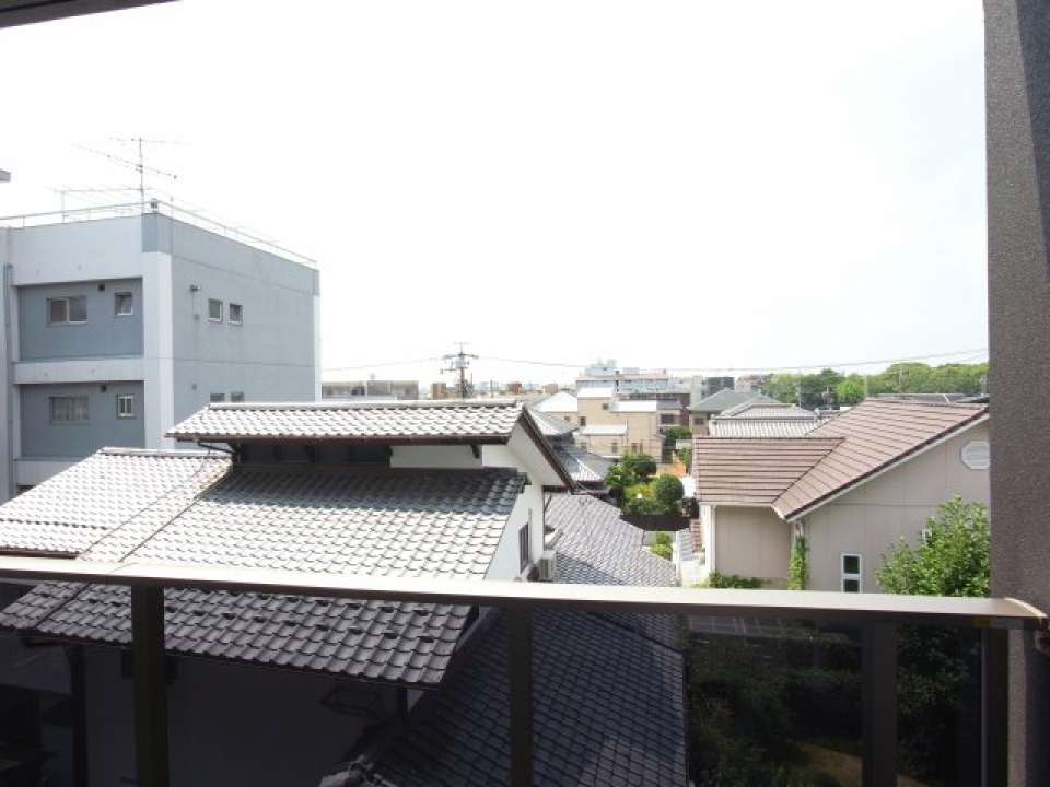 展望