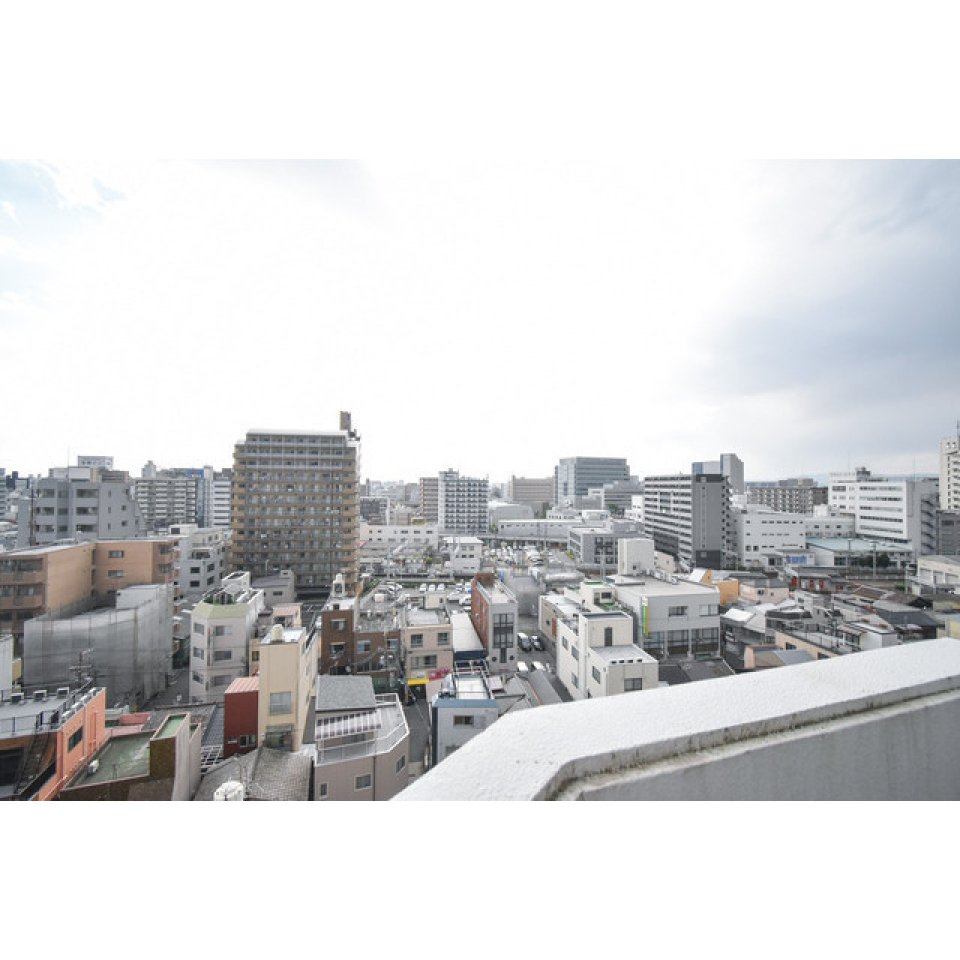 展望