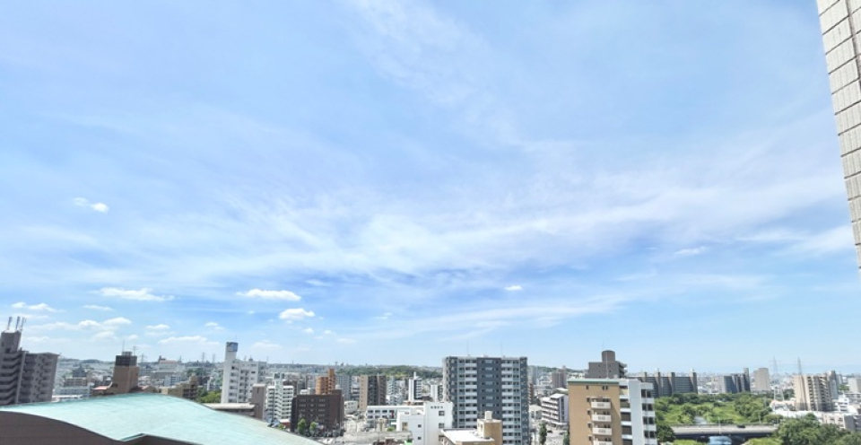 展望